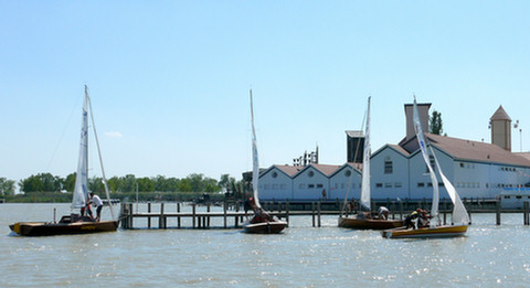 P1040551a