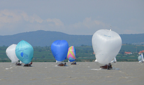 P1050442a