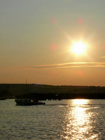 b207_EURO_20080821